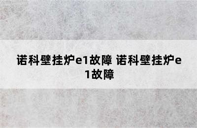 诺科壁挂炉e1故障 诺科壁挂炉e1故障